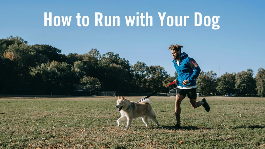 Running Motivation: How to Run with Your Dog!
